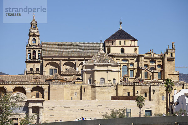 Kathedrale  ehemalige Moschee Mezquita  Cordoba  Andalusien  Spanien  Europa  ÖffentlicherGrund