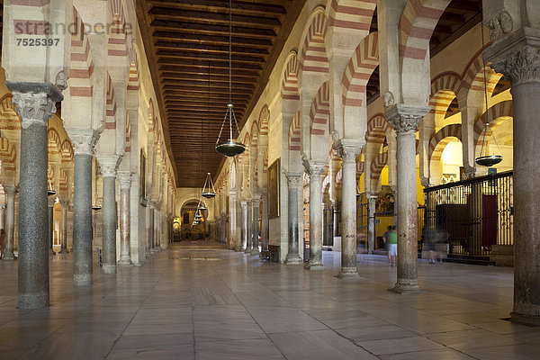 Säulenhalle der Kathedrale  ehemalige Moschee Mezquita  Cordoba  Andalusien  Spanien  Europa