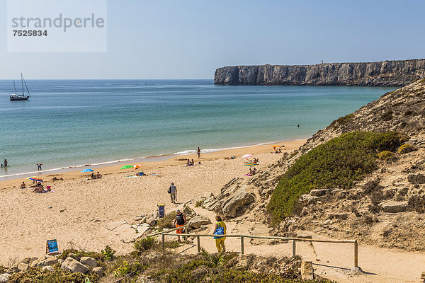 Strand  Praia da Mareta  Sagres  Algarve  Portugal  Europa