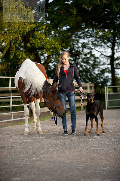 Mädchen mit Pferd und Dobermann