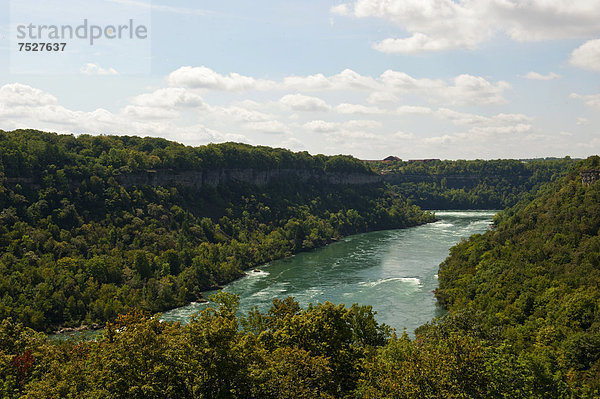 Tal bzw. Schlucht des Niagara River  nördlich der Niagara Falls  Niagara Parks  Ontario  Kanada  Nordamerika