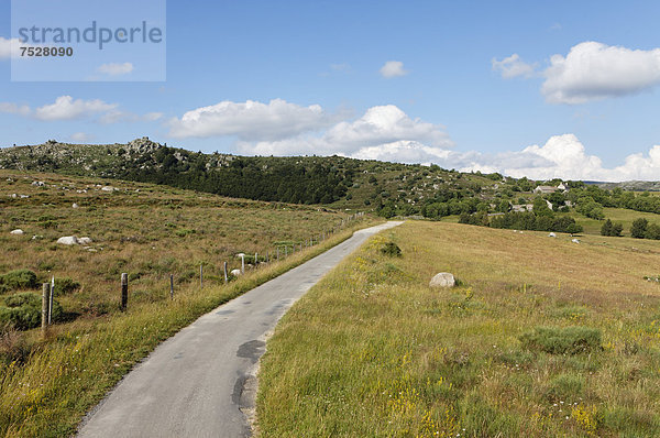 Straße  die Causses und die Cevennen  UNESCO-Weltkulturerbe  Parc National des Cevennes  Cevennen-Nationalpark  UNESCO-Biosphärenreservat  Mont LozËre  Le Pont-de-Montvert  Lozere  Languedoc-Roussillon  Frankreich  Europa
