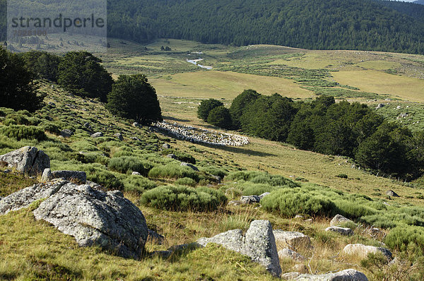 Weiler Bellecoste  die Causses und die Cevennen  UNESCO-Weltkulturerbe  Parc National des Cevennen  Cevennen-Nationalpark  UNESCO-Biosphärenreservat  Mont LozËre  Le Pont-de-Montvert  LozËre  Languedoc-Roussillon  Frankreich  Europa