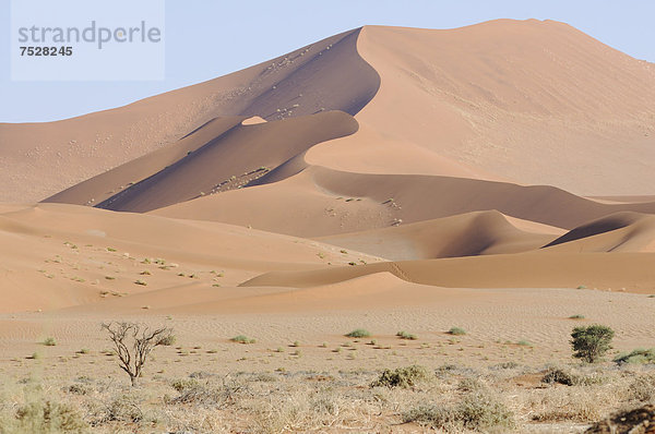 Eine der höchsten Dünen im Sossusvlei  Dünenlandschaft