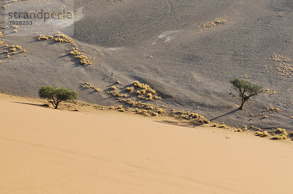 Morgenstimmung  Blick von Düne 45 auf Dünenlandschaft im Sossusvlei