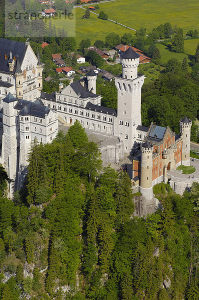 Schloss Neuschwanstein  Füssen  Allgäu  Romantische Straße  Bayern  Deutschland  Europa