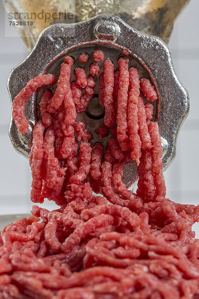 Fleischwolf  frisches Fleisch wird zu Hackfleisch verarbeitet