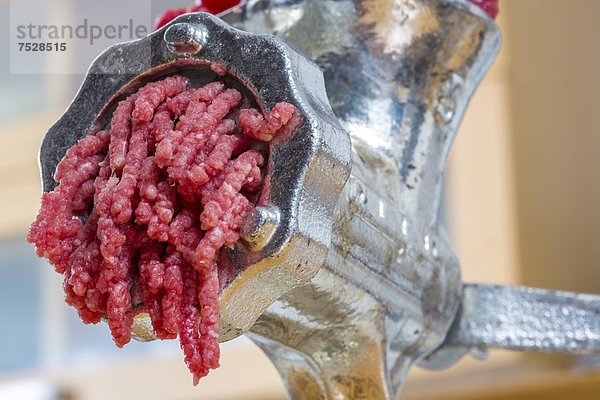 Fleischwolf  frisches Fleisch wird zu Hackfleisch verarbeitet