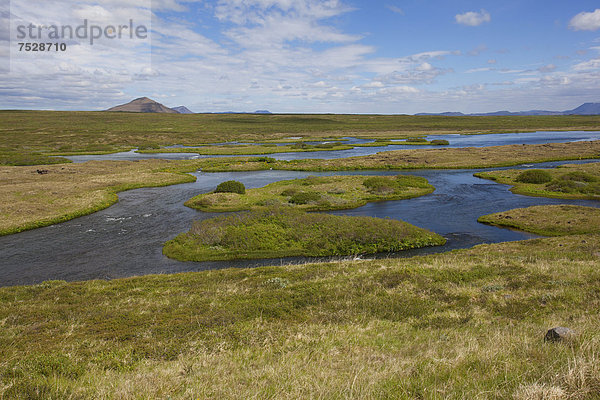 Fluss Laxa  Myvatn  Island  Europa