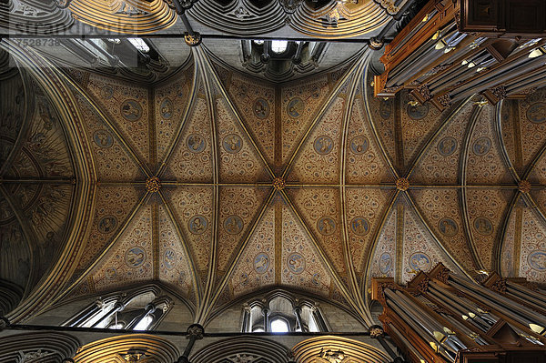 Kathedrale von Worcester