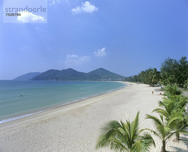 Palmen am Dadonghai Beach  weißer Sandstrand  Sanya  Insel Hainan  China  Asien