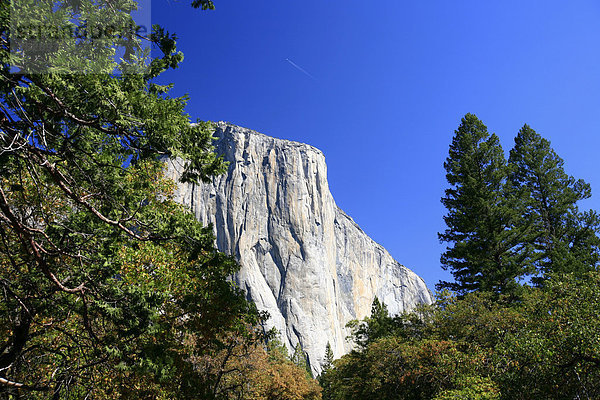 'Ansicht des Berges ''El Capitan''  eine der bedeutendsten Kletterrouten ''The Nose'' befindet sich an dieser Steilwand aus Granit  Yosemite National Park  Kalifornien  USA'