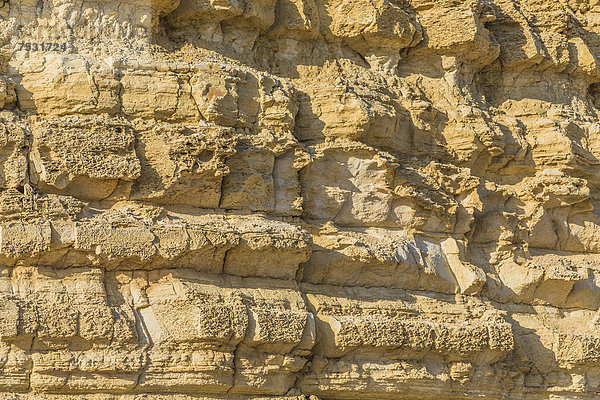 Steinstruktur  Felsen  Praia do Porto de MÛs  Algarve  Portugal  Europa