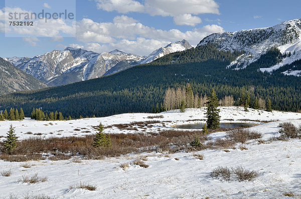 Blick vom Molas Divide nach Osten auf die San Juan Mountains  Highway 550  Colorado  USA