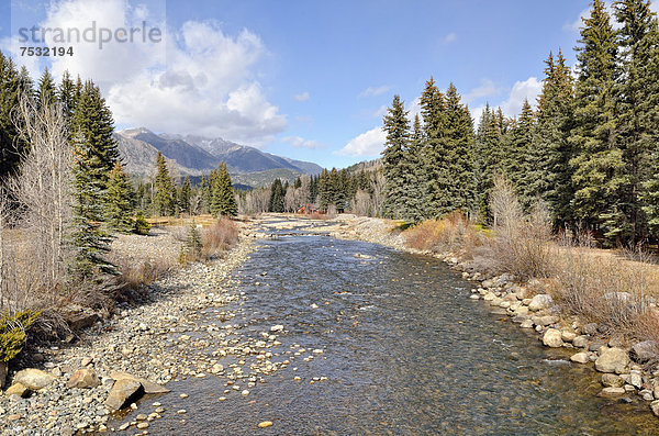 Vallecito Creek  Weminuche Wilderness  Durango  Colorado  USA