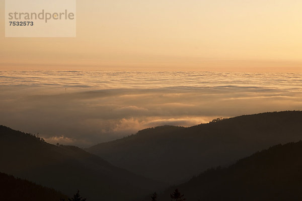 Blick vom Feldberg ins Rheintal bei Inversionswetterlage  Schwarzwald  Baden-Württemberg  Deutschland  Europa