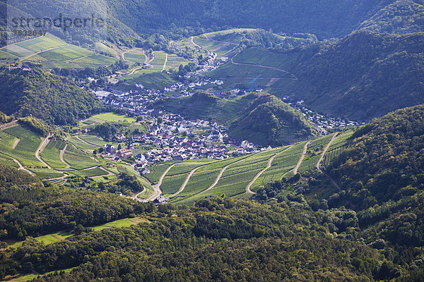 Luftaufnahme Mayschoß an der Ahr  Weinberge  Rheinland-Pfalz  Deutschland  Europa