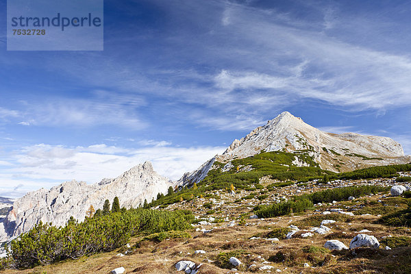 Im Naturpark Fanes-Sennes im Hochpustertal oberhalb von Pederü  hinten die Pareispitze  Südtirol  Italien  Europa