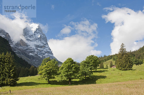 Europa Alpen Berner Oberland Schweiz Kanton Bern