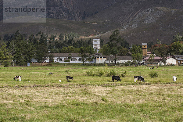Farm La Collpa  Cajamarca  Peru  Südamerika