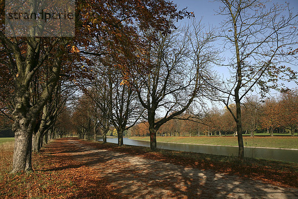 Spazierweg  Allee  Herbst im Naherholungsgebiet am Decksteiner Weiher  Köln  Nordrhein-Westfalen  Deutschland  Europa