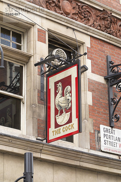 'Wirtshausschild ''The Cock''  Great Portland Street  London  England  Großbritannien  Europa'