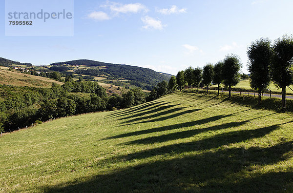 Dorf Auvers  Monts de la Margeride  Margeride Gebirge  Haute Loire  Auvergne  Frankreich  Europa