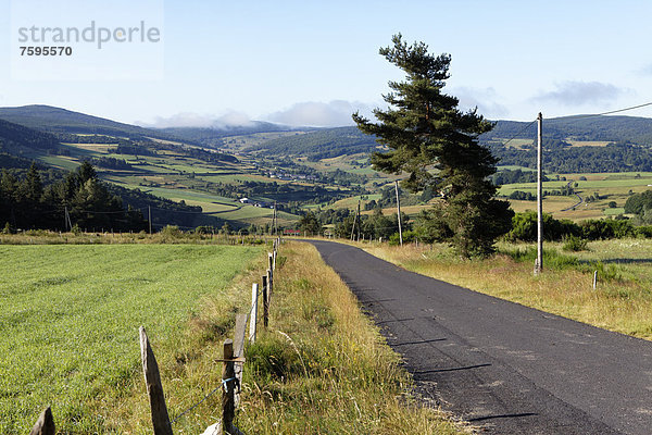 Landschaft  GÈvaudan  Margeride Berge  Monts de la Margeride  Haute Loire  Auvergne  Frankreich  Europa