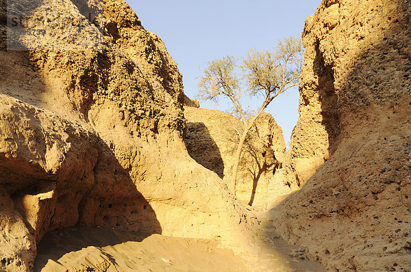 Schlucht  Sesriem-Canyon