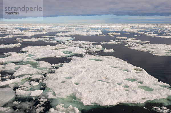 Packeis  Barentssee  Ostküste von Spitzbergen  Spitzbergen oder Svalbard Inselgruppe  Norwegen  Europa