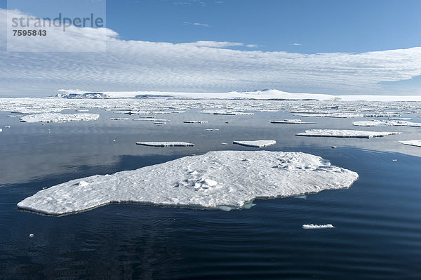 Eisschollen  Hinlopenstraße  Spitzbergen-Archipel  Svalbard  Arktisregion  Norwegen  Europa