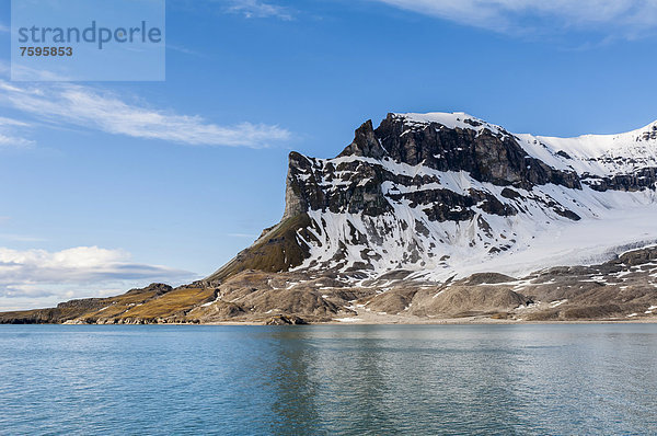 Alkehornet  Westküste von Spitzbergen  Spitzbergen-Archipel  Svalbard  Norwegen  Europa