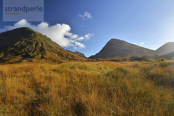 Herbst im Glencoe Tal  schottische Highlands  Schottland  Großbritannien  Europa