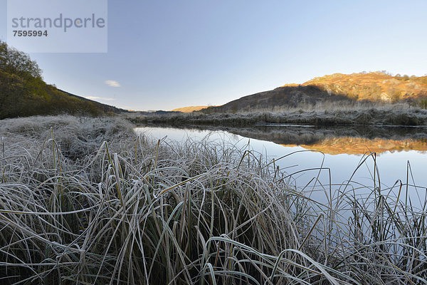 Eisger Morgenreif  schottische Highlands  Loch Dorchardt  Schottland  Großbritannien  Europa