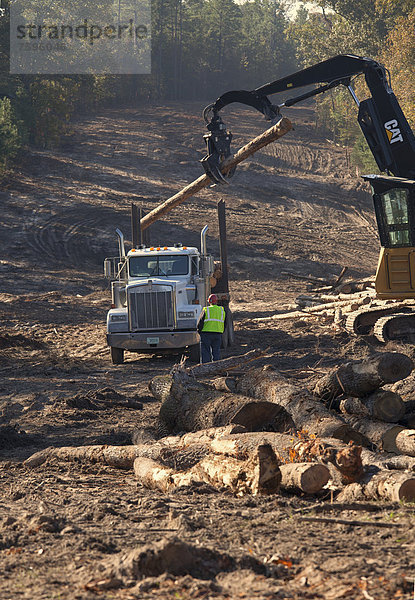 Arbeiter räumen Bäume aus dem Weg des südlichen Teils der Keystone XL Pipeline  Umweltschützer sind gegen die Pipeline  weil sie schmutziges Teersand-Öl aus Alberta transportiert  zur globalen Erderwärmung beiträgt und auch ist das Risiko erhöht  durch Pipeline-Lecks die Umwelt zu verschmutzen  Winnsboro  Texas  USA