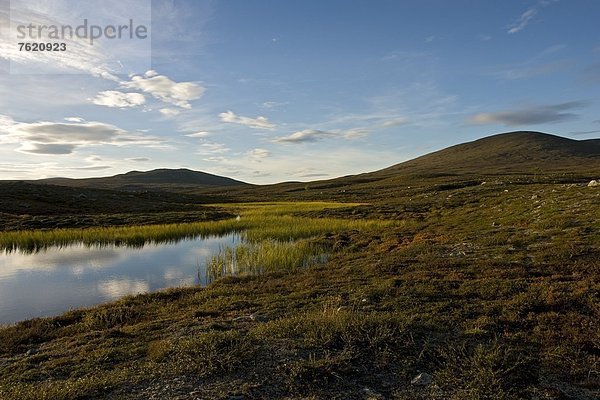 Naturreservat Langfjället  Dalarna  Schweden  Europa