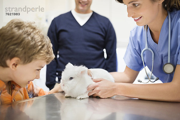 Tierarzt und Besitzer untersucht Kaninchen in der Tierarztpraxis