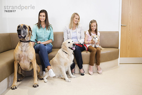 Besitzer bringen Hunde in die Tierarztpraxis