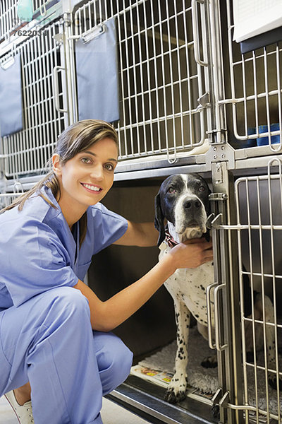 Lächelnder Tierarzt platziert Hund im Zwinger