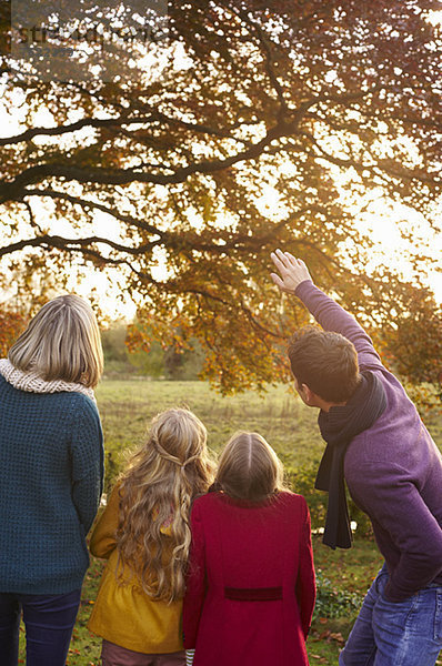 Familie bewundert Herbstlaub im Baum