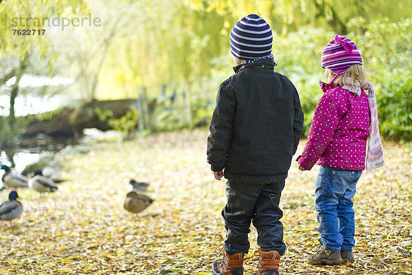 Zwei Kleinkinder beobachten Enten im Herbst