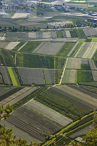 Luftaufnahme der Getreidefelder