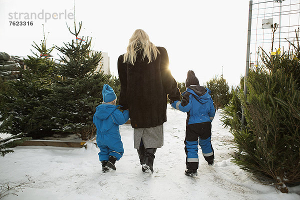 Mutter und Söhne wählen Weihnachtsbaum