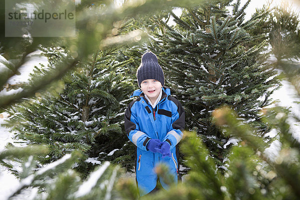 Junge steht auf dem Weihnachtsbaumplatz