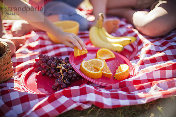 Obst auf Picknickdecke im Feld