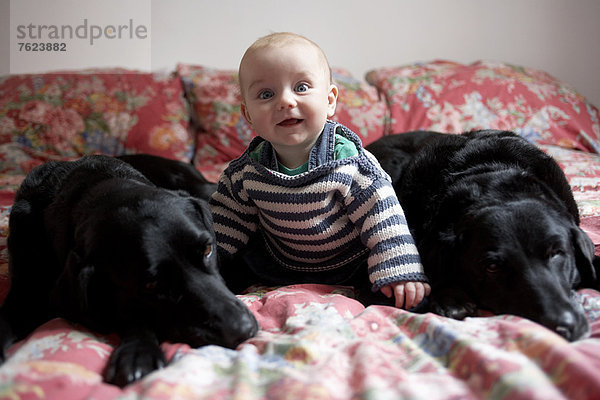 Babysitting mit Hunden auf dem Sofa