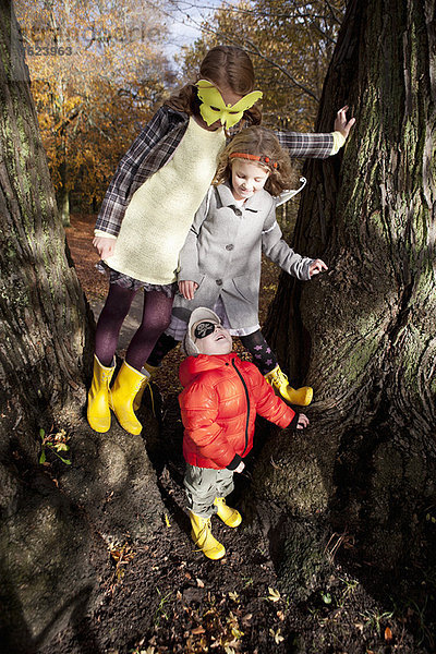 Kinder spielen zusammen im Baum