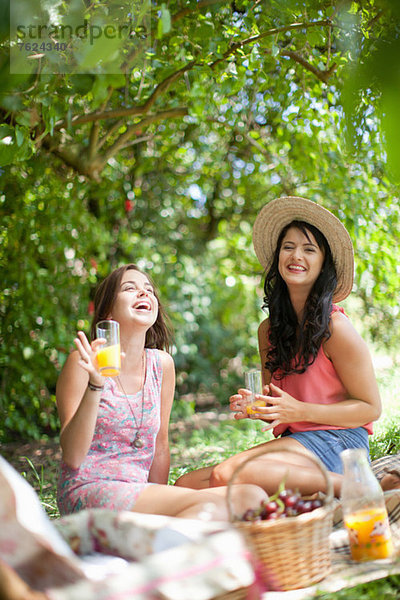 Frauen picknicken gemeinsam im Park