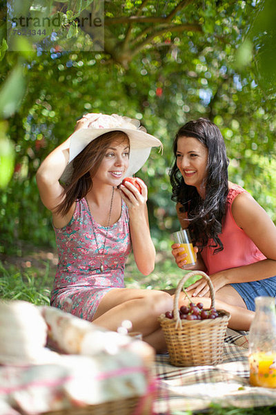 Frauen picknicken gemeinsam im Park