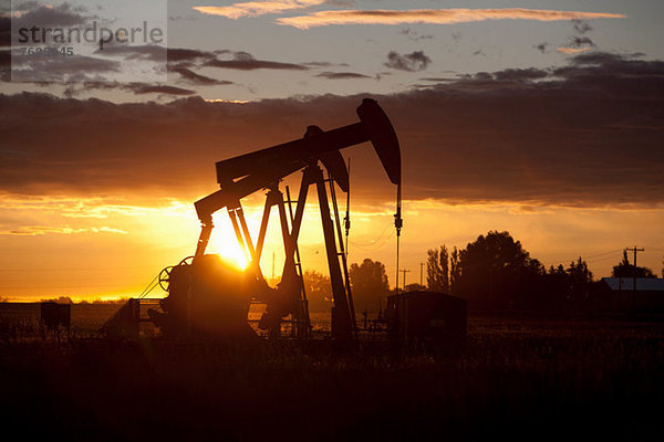 Silhouette der Ölquellen bei Sonnenuntergang